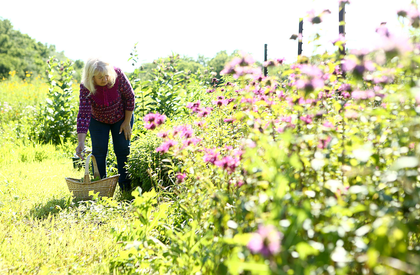 Nektar Flow Farms 04.jpg
